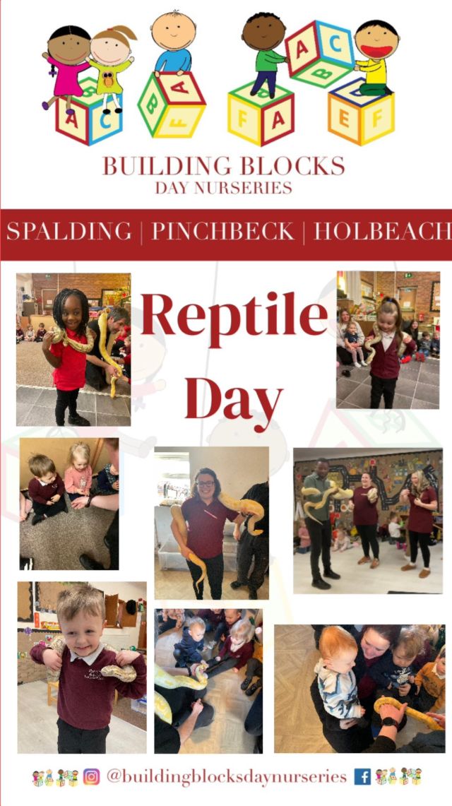 REPTILE DAY | We had an amazing time across all 3 nurseries where we had amazing reptiles come and spend the morning with us. The children got to hold, touch and ask learn about the different reptiles that were brought into the settings.

Another great opportunity during our Amazing Animals theme of the month!

#buildingblocks
#buildingblocksspalding
#buildingblockspinchbeck
#buildingblocksholbeach
#buildingblockdaynurseries
#spalding
#pinchbeck
#holbeach
#eyfs 
#daynursery 
#privatedaynursery 
#bbspalding
#bbpinchbeck
#bbholbeach